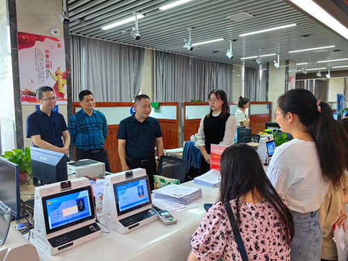 珠暉區教育局 聚焦教育動態，服務區域發展